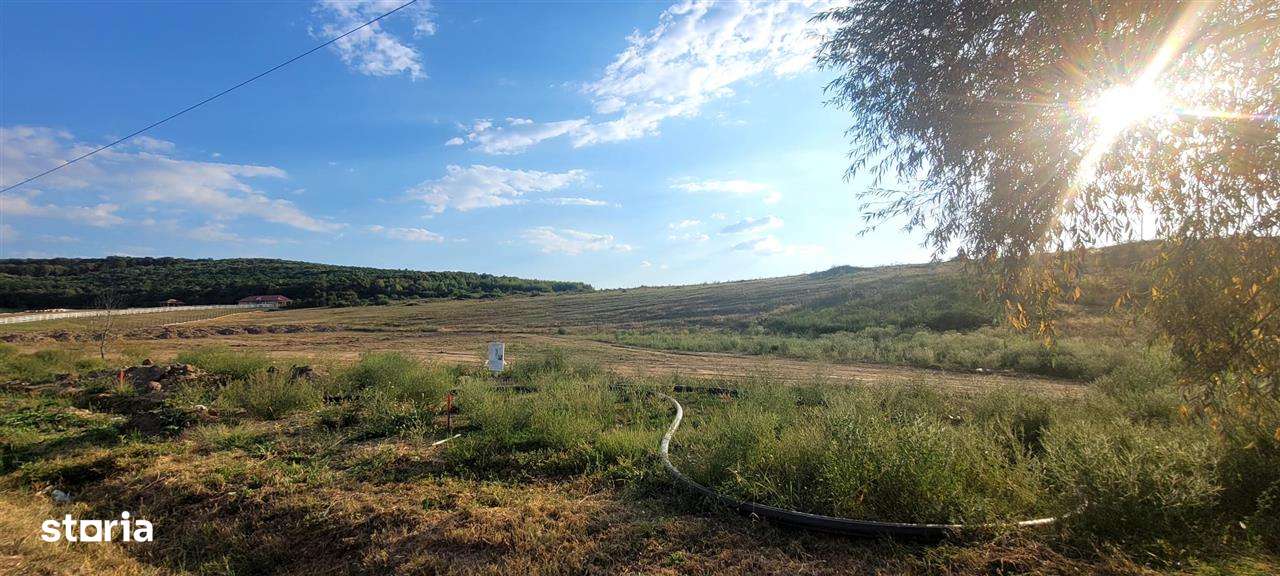 Teren intravilan la Inelul Metropolitan, Haieu,Sanmartin,Bihor - Imagine principală: 4/6