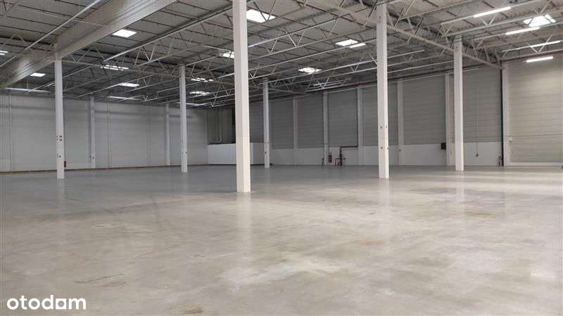 Magazyn - Gdańsk Kokoszki - Pełny obrazek: 4/18