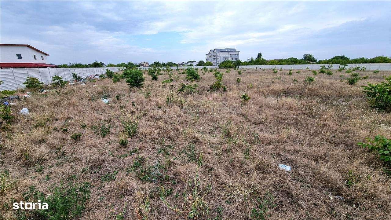 Teren 10.000 mp Giurgiului Tiparnitei - Imagine principală: 4/8