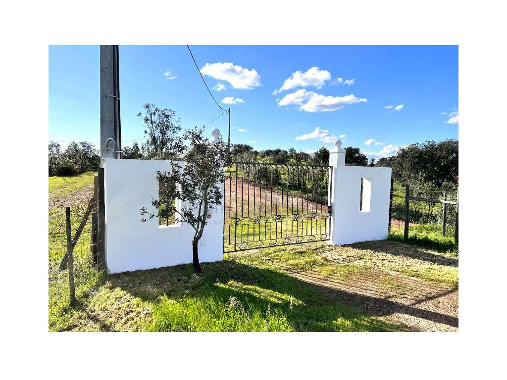 QUINTA T4, SERPA com uma vista fantástica , com duas barragens - Grande imagem: 4/60