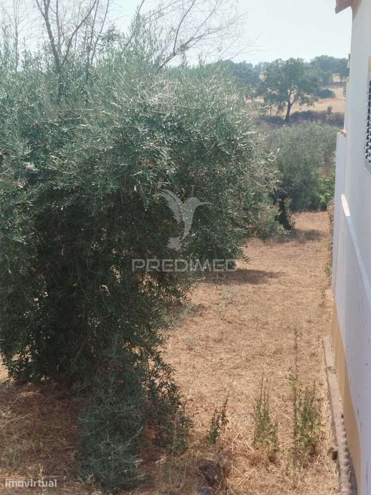 Terreno Urbano com possibilidade de poder construir. - Grande imagem: 3/5