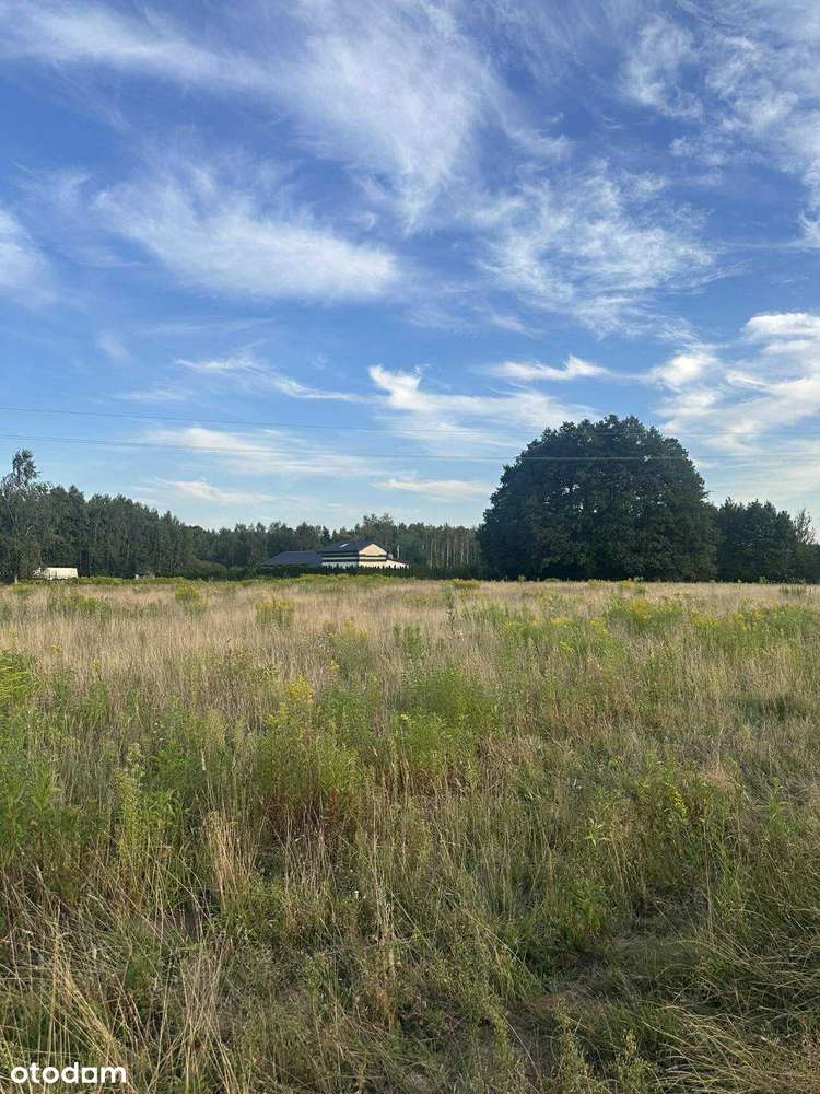 Działka budowlana 1699m w Miejscowości Jasienica - Pełny obrazek: 4/8