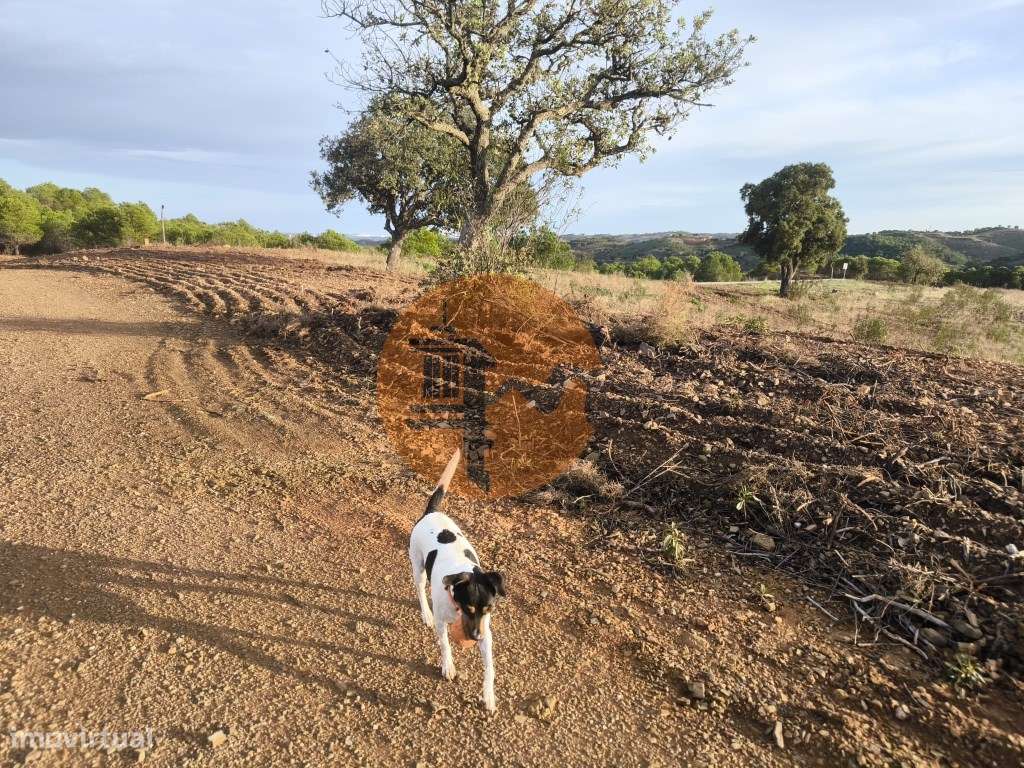 TERRENO RUSTICO COM 4.520 M2 - PRÓXIMO DA CORTE DO GAGO EM CASTRO M... - Grande imagem: 5/35
