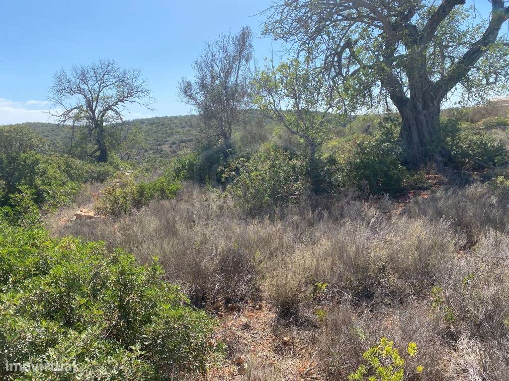 Lote de terreno rústico localizado junto ao Castelo de Paderne, Alb... - Grande imagem: 5/21