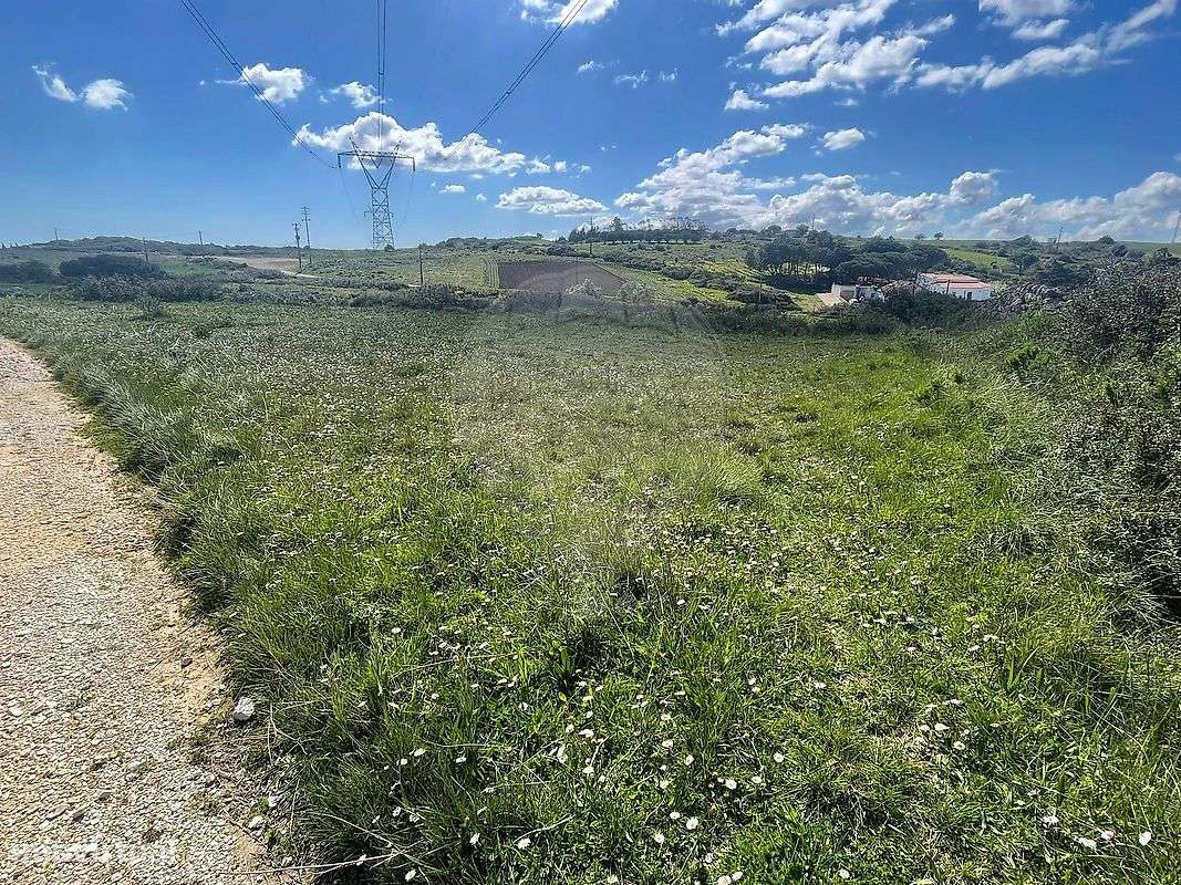 Terreno  para venda - Grande imagem: 5/5