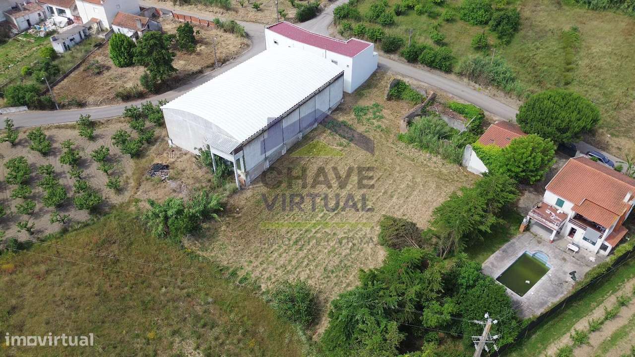 Terreno para Construção Delgada - Bombarral-19