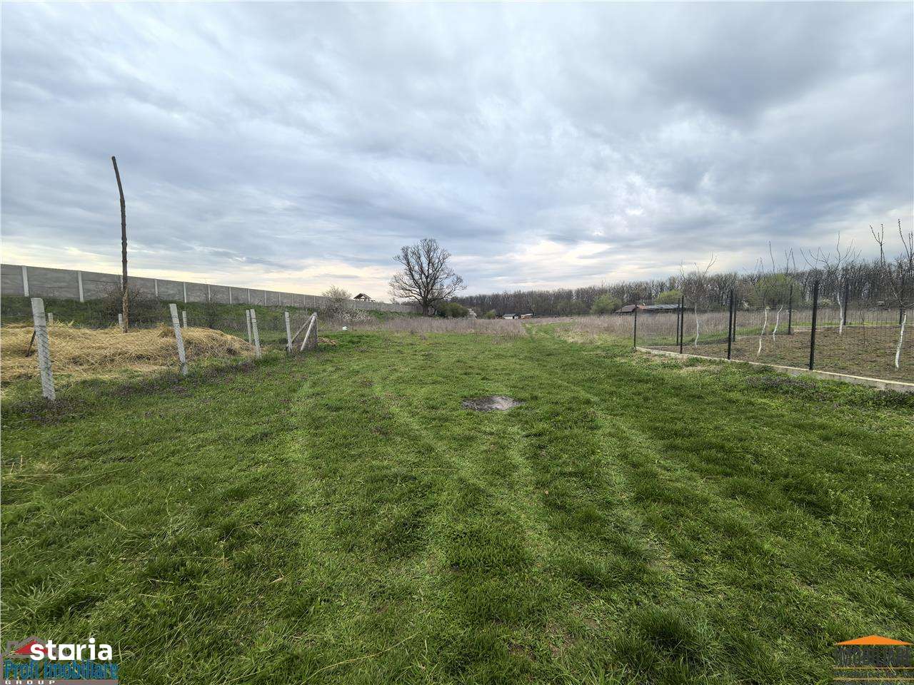 Teren zona agrement padure Vladimirescu - Imagine principală: 5/5