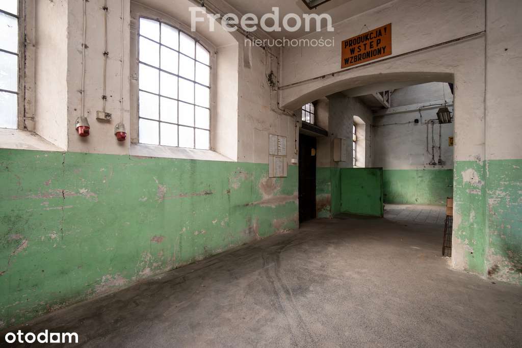 Na wynajem lokal produkcyjno- usługowo-handlowy. - Pełny obrazek: 5/10