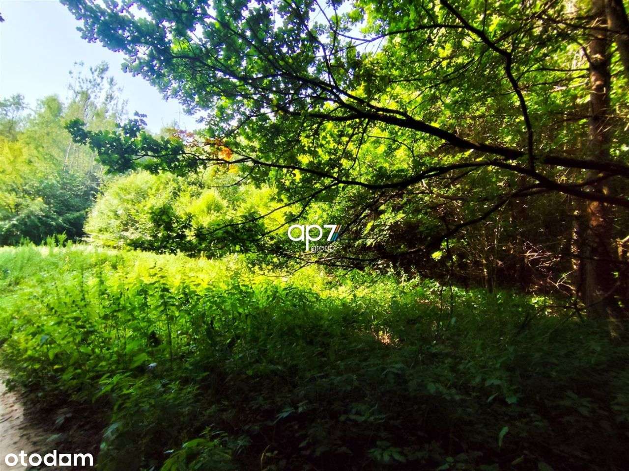 Działka, 11 635 m², Będkowice - Pełny obrazek: 4/4