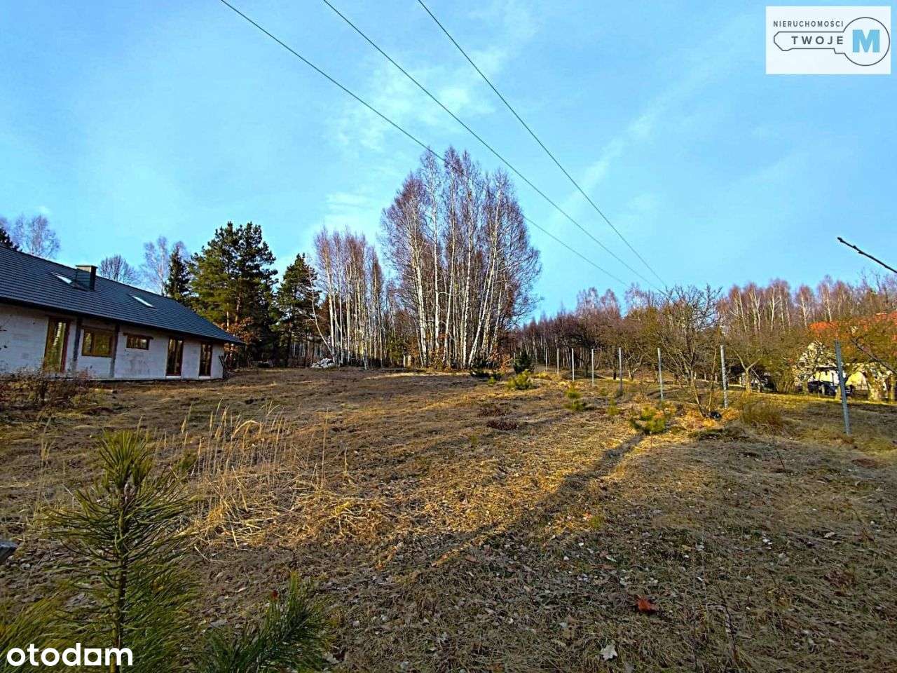 Jaworze - 5 min od Kielc, gm. Zagnańsk - Pełny obrazek: 3/9