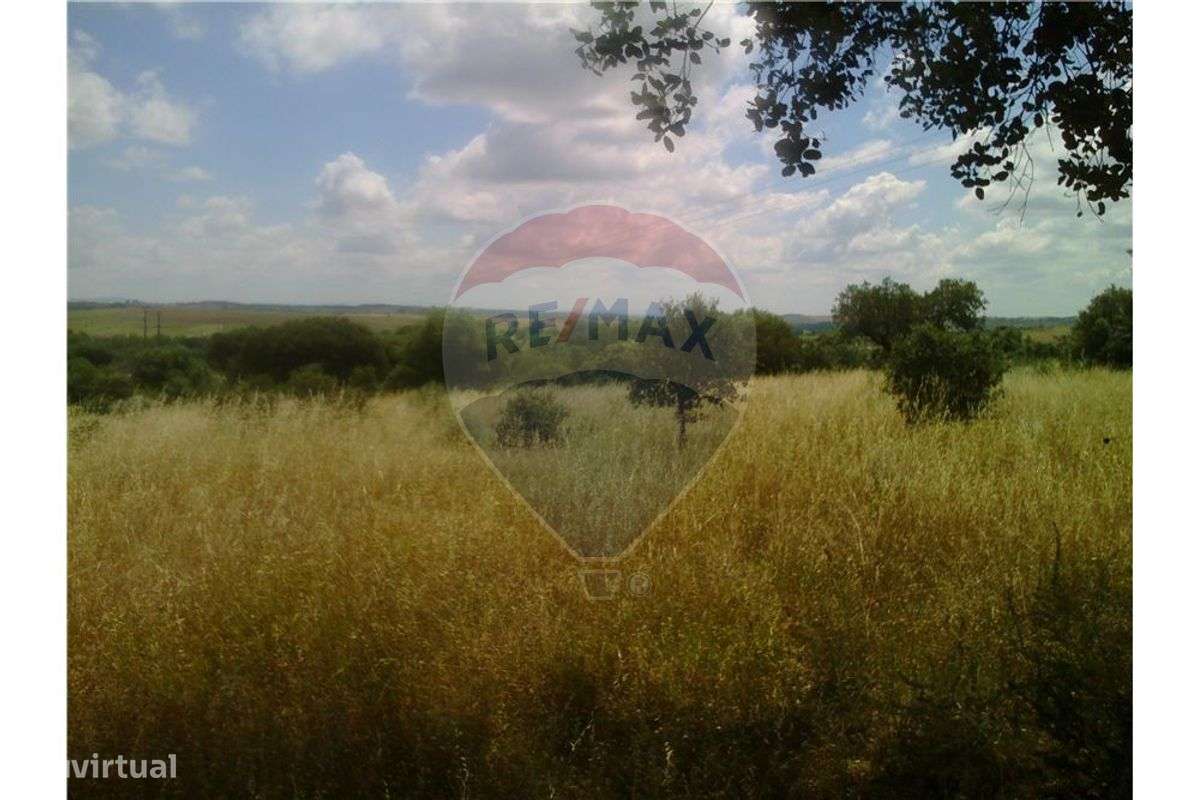 TERRENO COM 36.250 M2 - TERENA - ALANDROAL - Grande imagem: 2/6