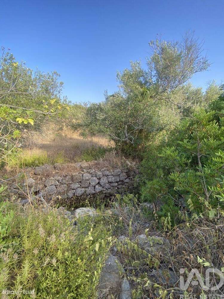 Terreno em Santa Bárbara de Nexe de 2450,00 m2 - Grande imagem: 5/13
