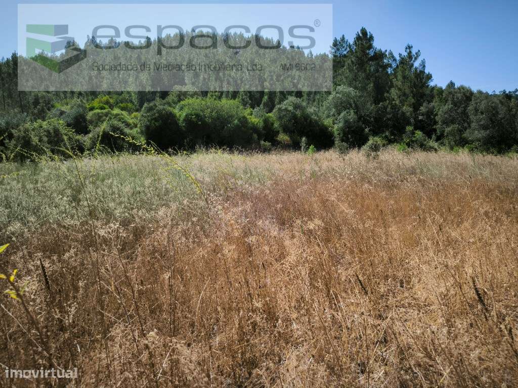 Terreno a confinar com a Ribeira do Sesmo - Grande imagem: 3/11