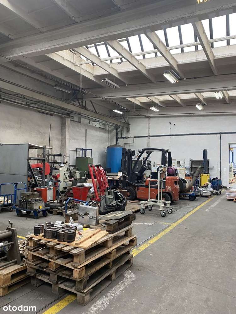 Usługi Sportowe - Pełny obrazek: 4/4