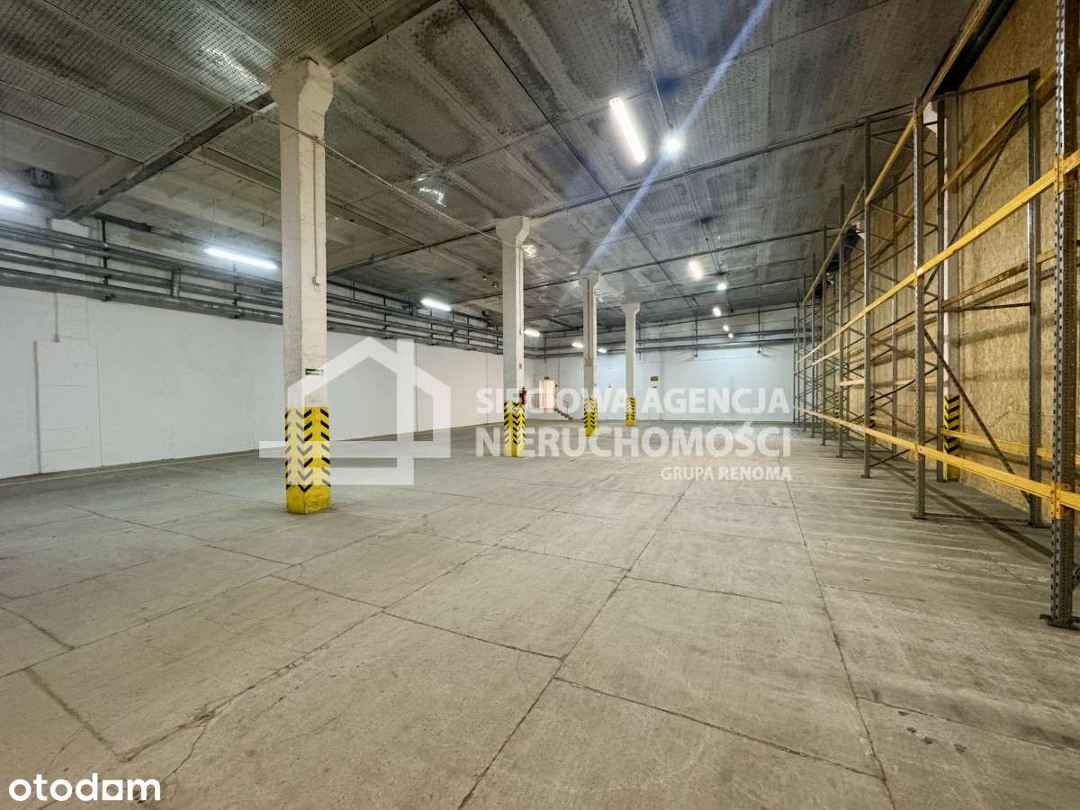 Magazyn na wynajem Gdańsk Nowy Port - Pełny obrazek: 1/5