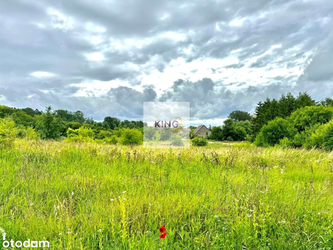 WZ na 2 domy jednorodzinne- widok na Odrę - Pełny obrazek: 5/5