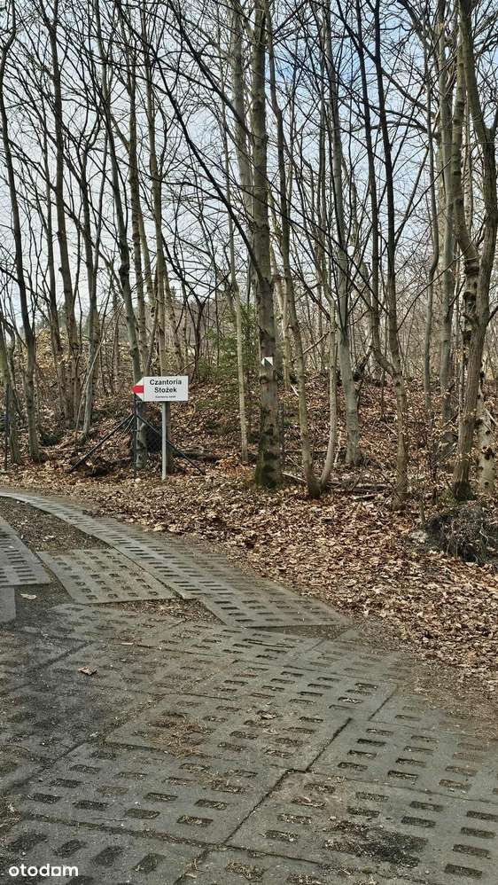 Widokowa działka w Wiśle | przy wyciągu I wyjście na szlak - Pełny obrazek: 5/6