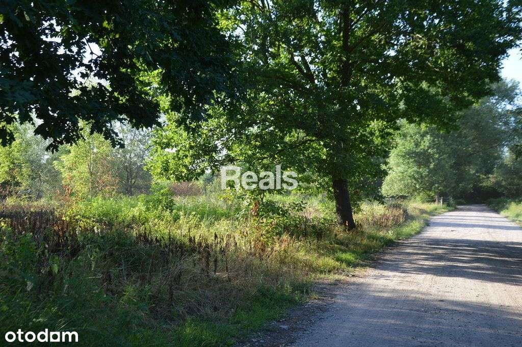 Dla inwestora 2 ha Skierdy, Jabłonna. - Pełny obrazek: 4/8