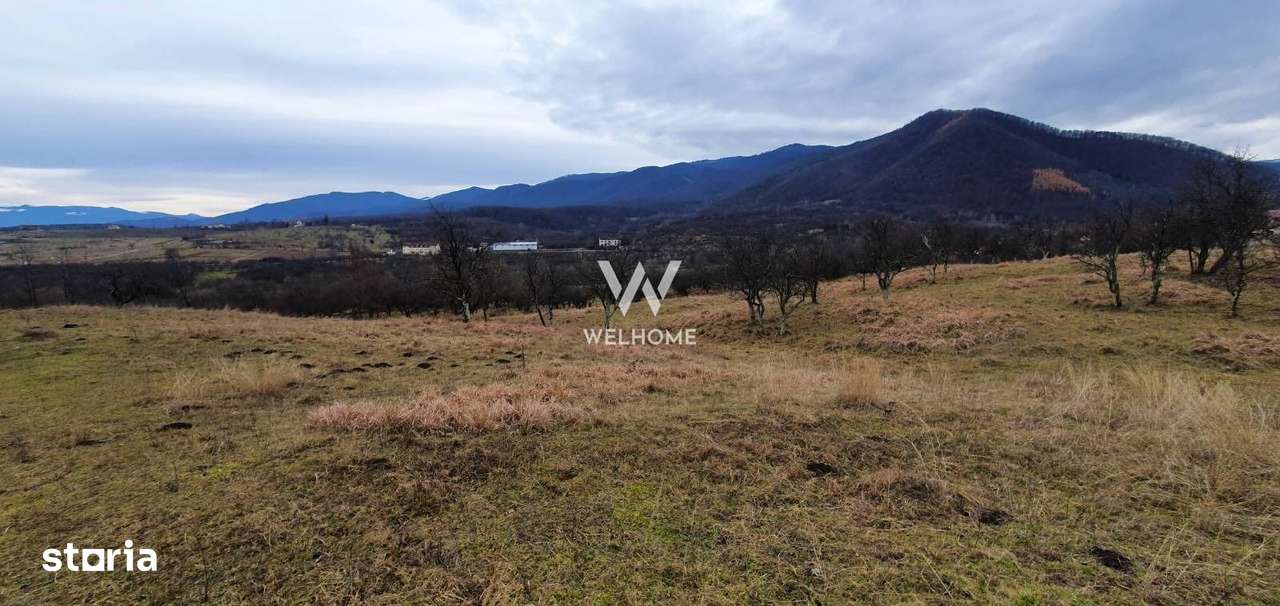 Rădăcini noi, visuri vechi- Teren de vanzare in Cisnadioara, Sibiu - Imagine principală: 3/9