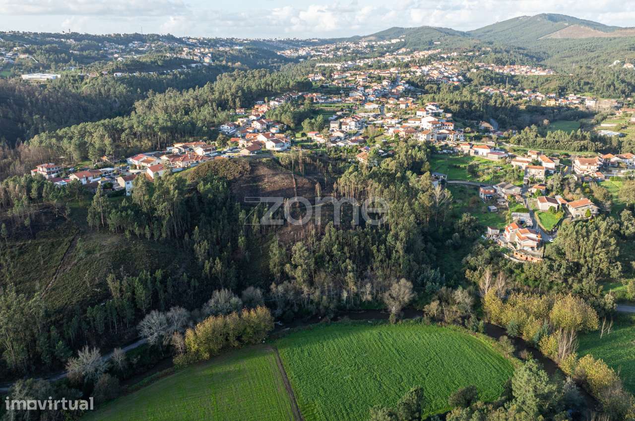 Terreno Florestal - Grande imagem: 5/16