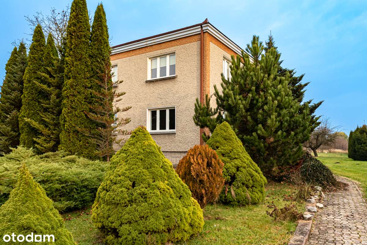 Wierzchosławice • 29 arów • 2 min do autostrady • 2 mieszkania - Pełny obrazek: 1/20