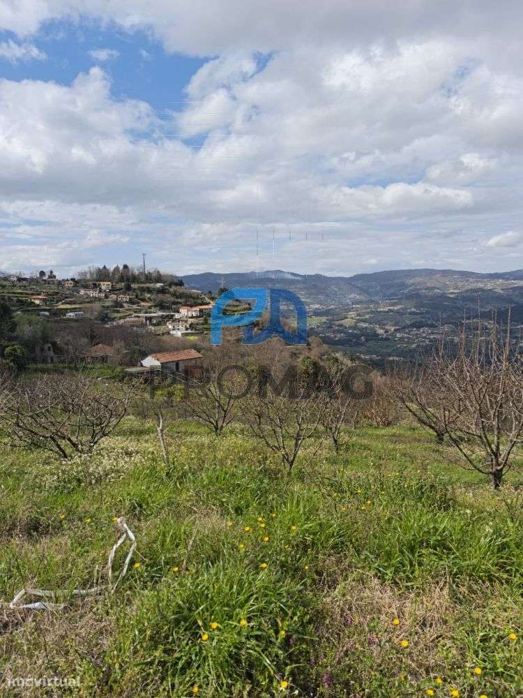 Terreno Urbanizável de 7959 m² com Armazém-17