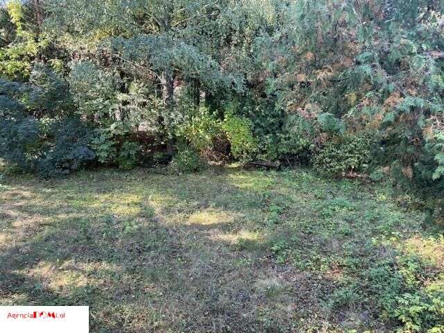 Bieniewice,dom z klimatem,3min.pieszo do Pkp-15