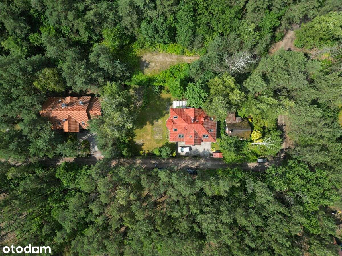 Dziełka z dużym potencjałem Dąbrowa Chotomowska-0