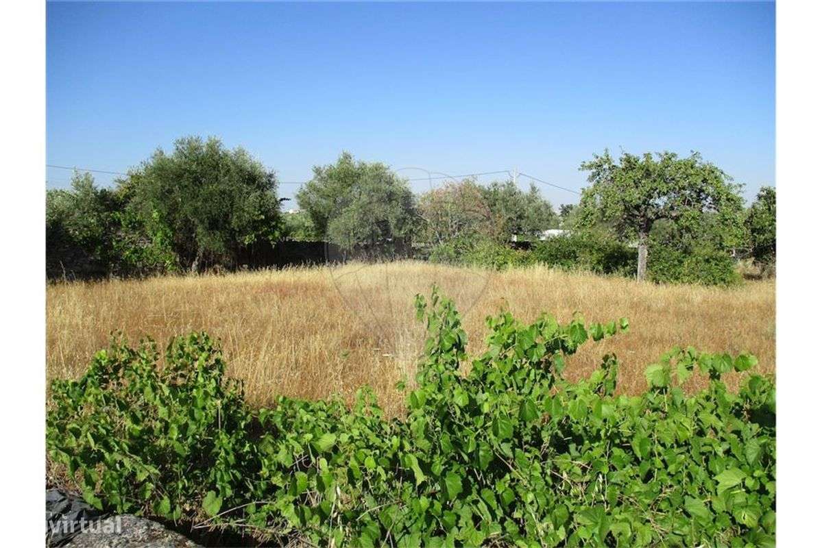 QUINTA COM 1,65 HA!!! - Grande imagem: 3/29