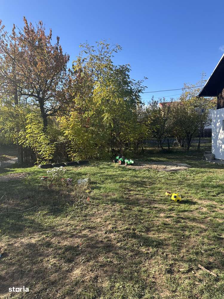 Campina - casă - teren 2506mp - 149900 Euro/Neg.-10