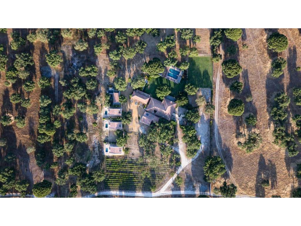 Turismo Rural, Hotel 3 Estrelas - Alcácer do Sal - Grande imagem: 4/44