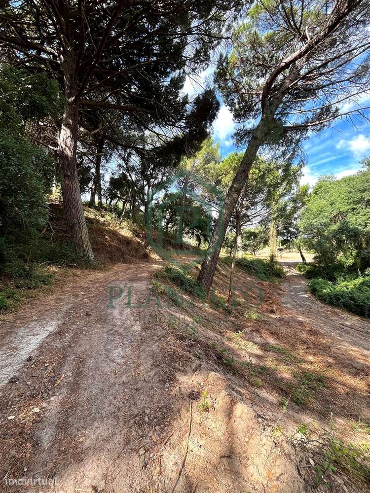 Quinta >=T10 Venda em Cortiçadas de Lavre e Lavre,Montemor-o-Novo-25