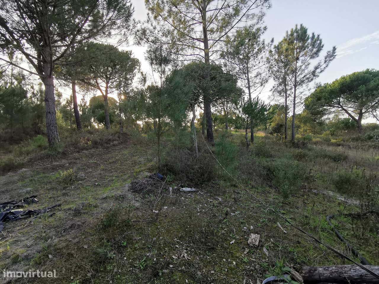 Moradia T2  Lamarosa de Coruche-49