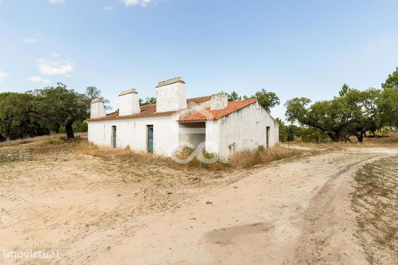 Herdade de 71,7 ha c/ Barragem e Casas de Apoio Agrícola | Mora - Grande imagem: 4/51