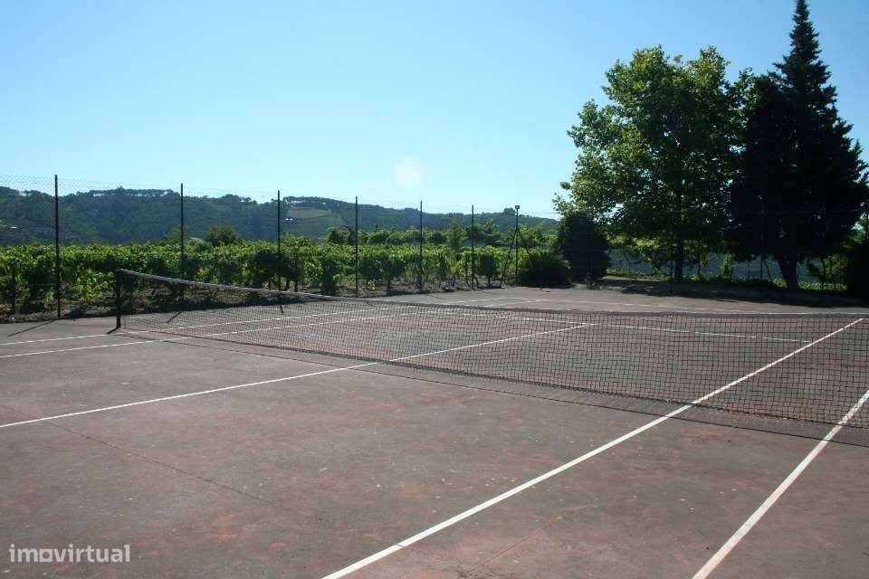 Douro Vinhateiro, Quinta Turística-15