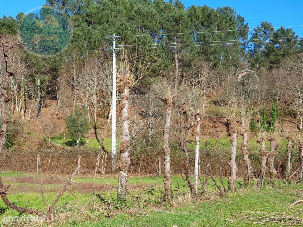 Quinta à venda, localizada no Lugar de Água Redonda, Cabeceiras de ...-28