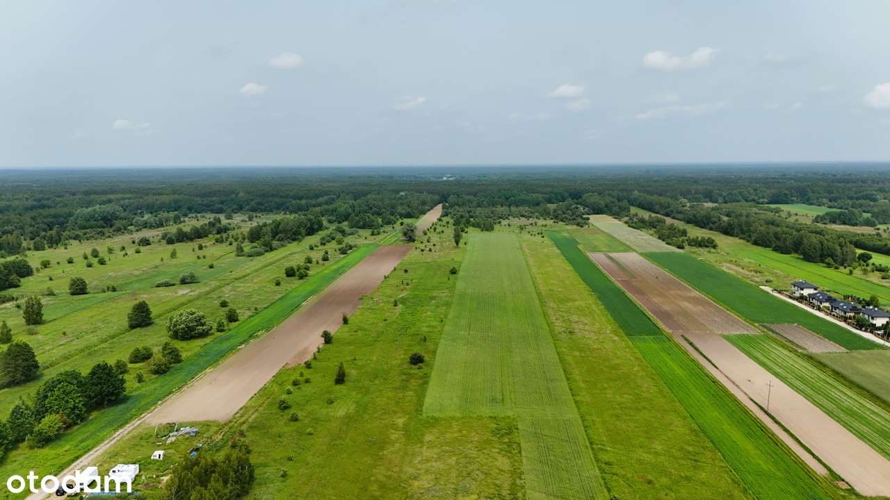 GOTOWE NA GOSPODARSTWO: 48 000 m² z możliwością rozszerzenia do 7,3 ha-8