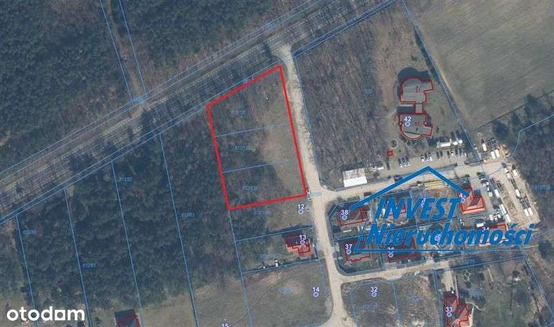 Działka - Krzywopłoty - Pełny obrazek: 4/11