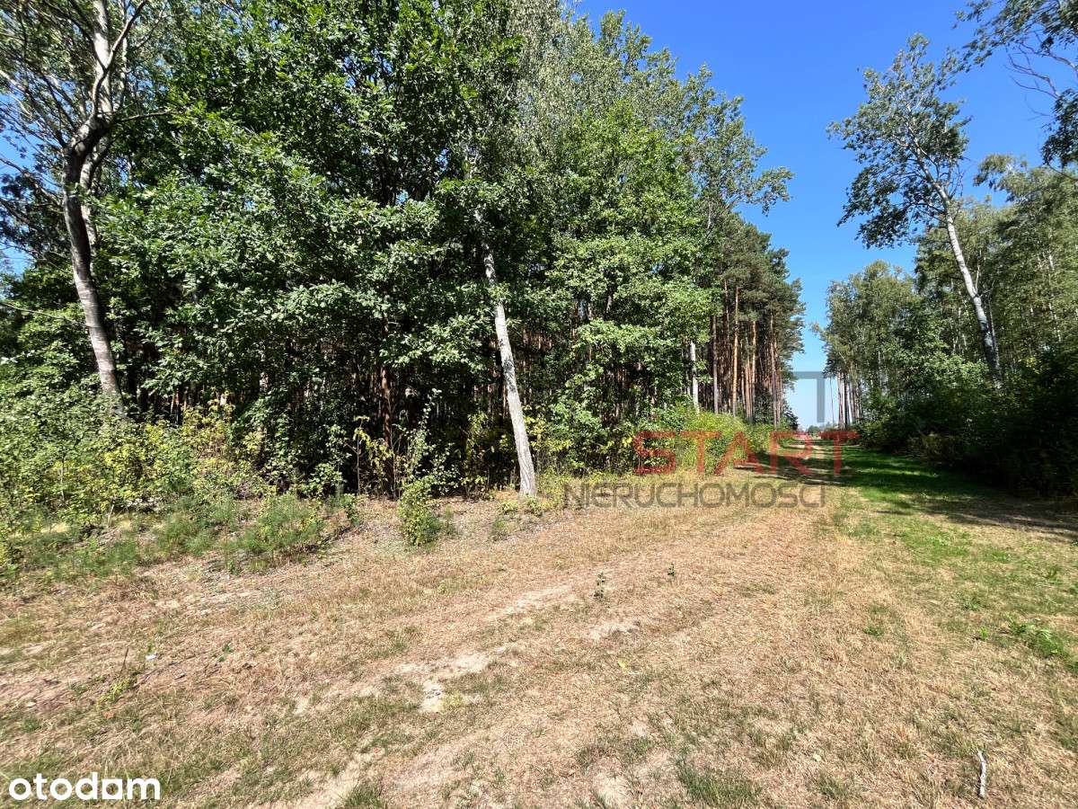 Działka budowlano-rolna, siedliskowa, cicho, S8 - Pełny obrazek: 5/5