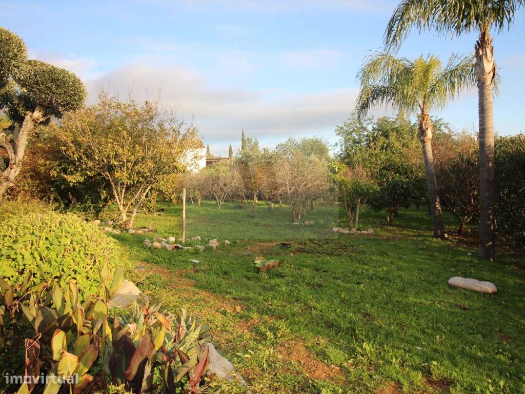 Moradia Independente com Piscina, Anexo e Terreno de 1.210 m² perto... - Grande imagem: 5/20