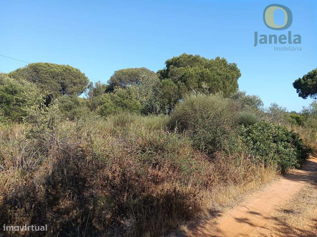 Terreno rústico com bom acesso, perto de Quarteira - Grande imagem: 2/4