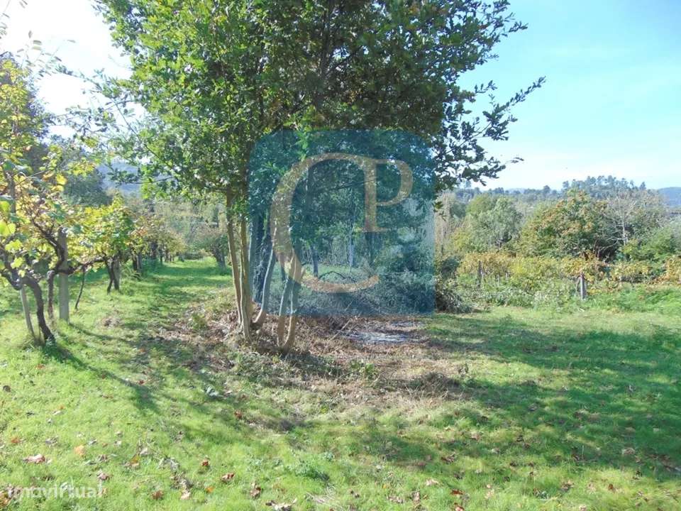 Propriedade em Cinfães do Douro para restauro, Viseu - Grande imagem: 2/17