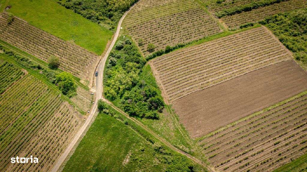 Teren extravilan - 3654 mp Dealul Șiriei - Imagine principală: 5/8