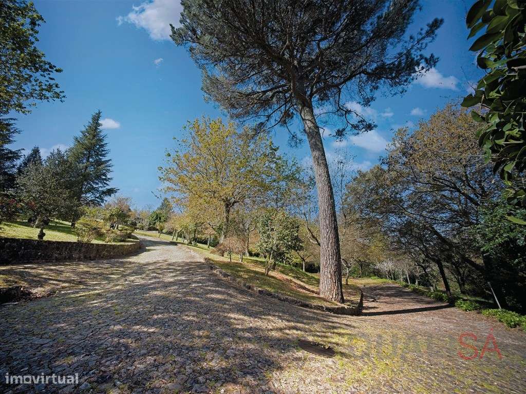 Moradia com piscina, jardim e bosque localizada na Encosta do Bom J...-42