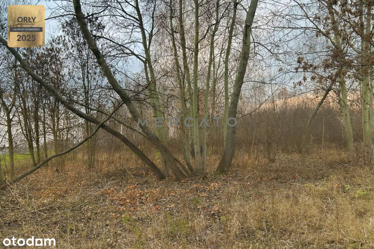 Działka 10 000 m² z potencjałem – na sprzedaż-6