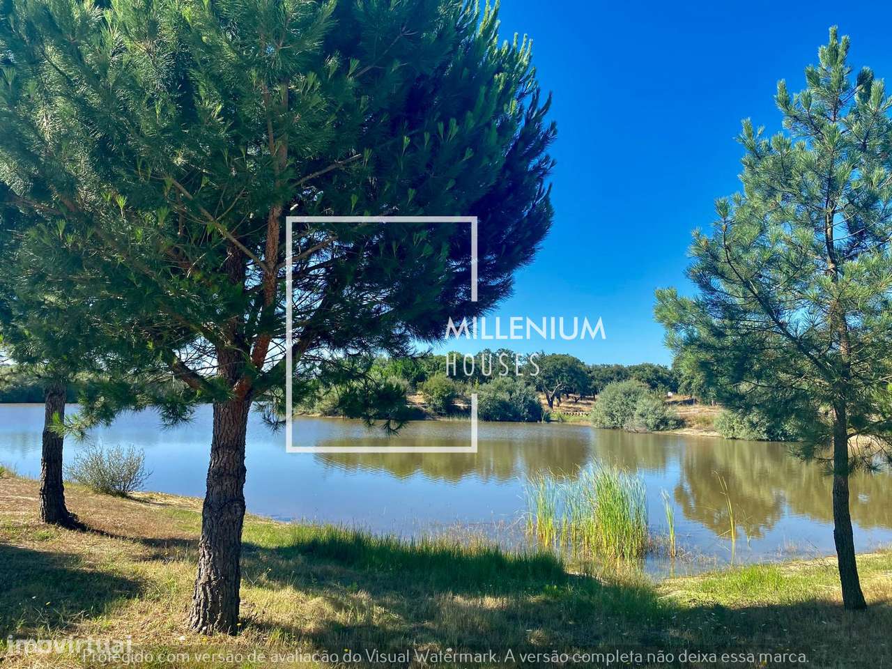 QUINTA 2Hc em Vila Nova de Santo Estêvão | Santo Estêvão GOLFE-12