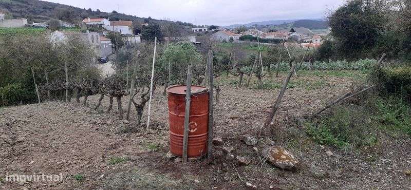 Quinta pequena- Sobral de Monte Agraço - Grande imagem: 5/9