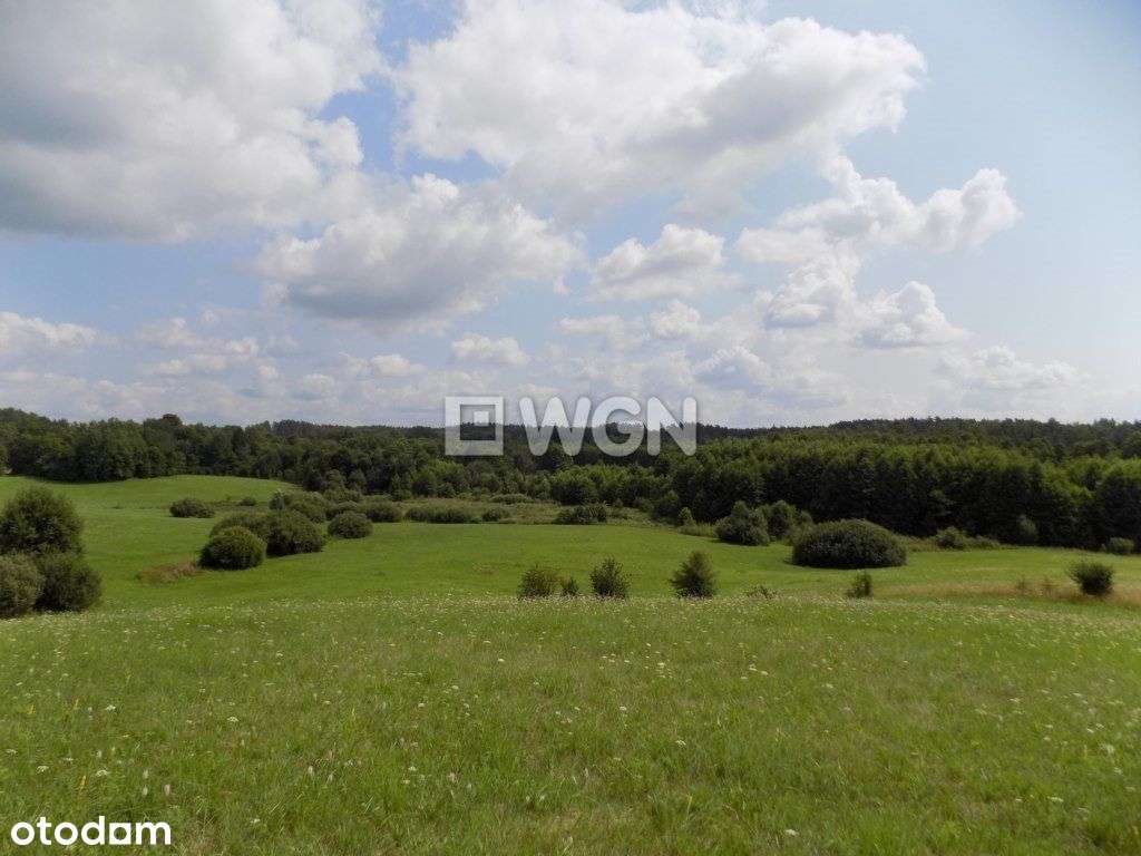 Mazury – Twoje miejsce na dom w sercu natury - Pełny obrazek: 5/12