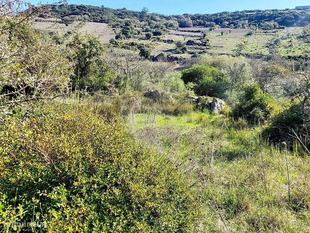 Terreno  para venda - Grande imagem: 5/9