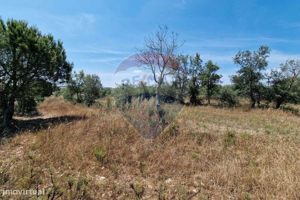 Terreno  para venda - Grande imagem: 4/6